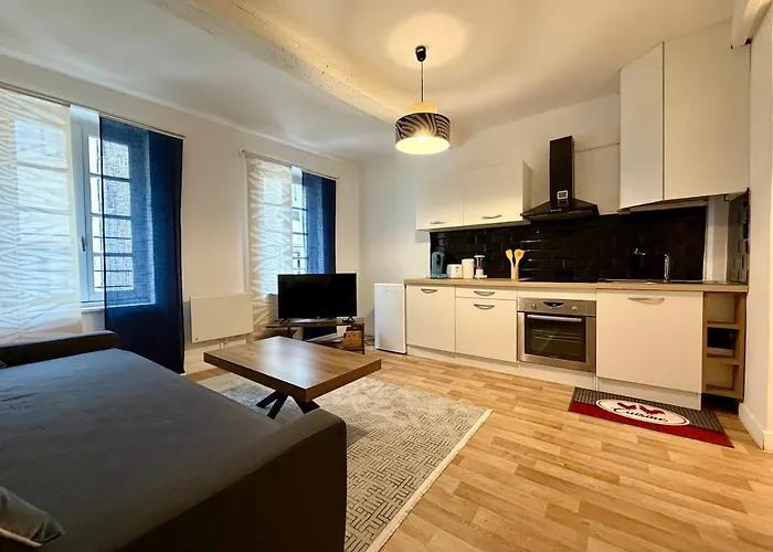 Liberte 38 - Close To Station And Center Apartman Carcassone